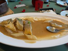 -老吉堂上海本帮菜(望京万象汇店)