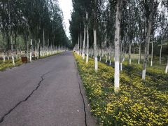 -东郊湿地公园