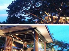 -网红落日悬崖餐厅 The Sky Gallery