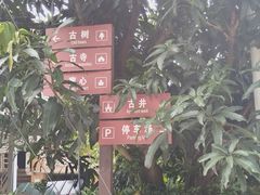 -曼丢傣家古寨