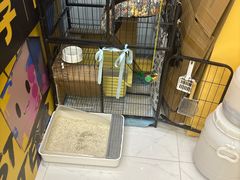 -谜盒子奇幻密室(南屏店)