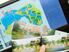 -溱湖国家湿地公园