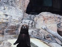 -珠海长隆海洋王国