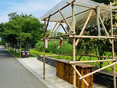 -长田漾湿地公园