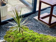 -Metal hands·铁手咖啡