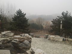 -大兴滨河森林公园