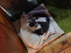 iphone_upload_pic-MIKAKU(万达广场上海宝山店)