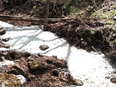 -天女山森林公园