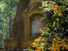-莫里热带雨林景区