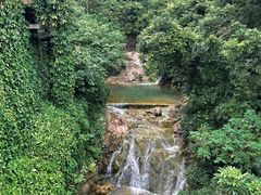 -南海湾森林生态园
