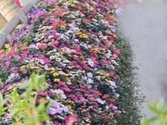 -苏州上方山国家森林公园