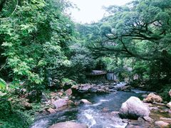 -广州市石门国家森林公园