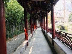 -龙潭水乡