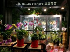 -豆豆花艺(新光天地店)