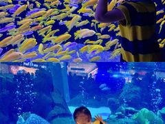 -成都浩海立方海洋公园