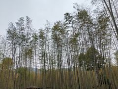 -陶祖圣境风景区