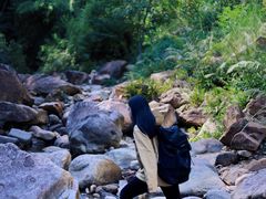 -广州白江湖森林公园