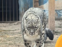 -青藏高原野生动物园