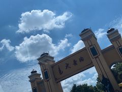 -大青沟风景区