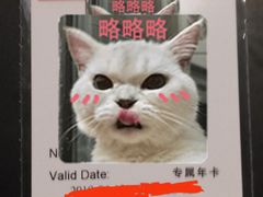 -力美健健身俱乐部(金碧店)