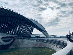 -谢列梅捷沃国际机场