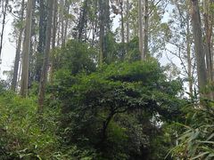 -水濂山森林公园