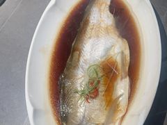清蒸白鱼-晓淮山·扬州早茶·淮扬菜(龙阳广场店)