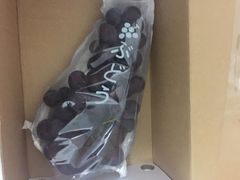 海堤葡萄园-海堤葡萄园中小学生研学基地