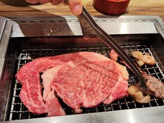 -俺的焼肉(銀座9丁目店)
