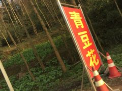 -花水湾第一村温泉大酒店