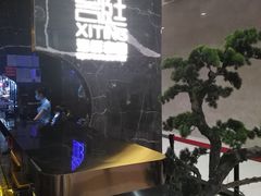 -喜庭海鲜自助(来福士店)