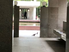 -上海市龙华烈士陵园