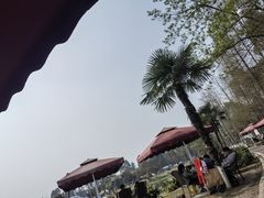 -夏河溪乡野公园