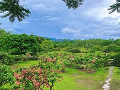 -中国科学院西双版纳热带植物园