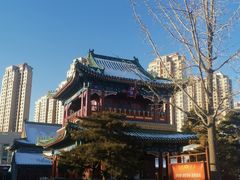 -天津大悲禅院