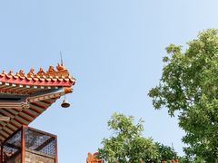 -广东圆玄道观