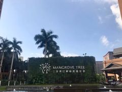-三亚湾红树林度假世界(木棉酒店)