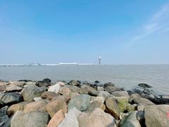 -上海吴淞炮台湾国家湿地公园