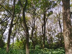 -云龙湖旅游景区