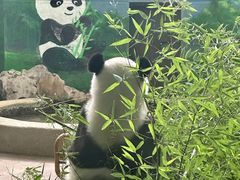 -天津市动物园