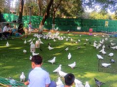 -长白岛森林公园