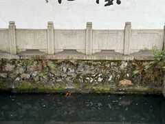 -墨池公园