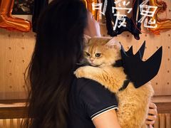 -Shiftin’浮起咖啡 (福保店)