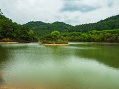 -广州白江湖森林公园