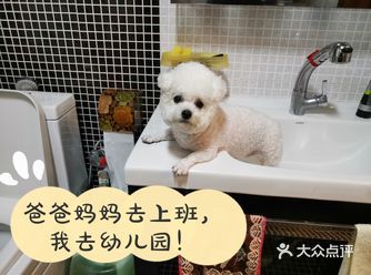 2019年5月，陪伴家人10年的爱犬多多因病去了汪星