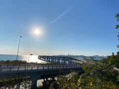 -星海湾跨海大桥