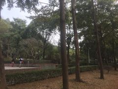 -福神岗公园