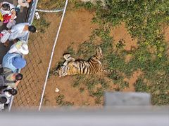 -西霞口神雕山野生动物世界