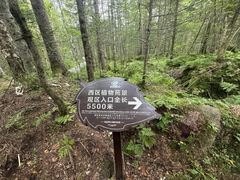 -汤旺河林海奇石景区
