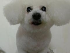 -北京观赏动物医院·24小时大型综合·猫专科·异宠专科